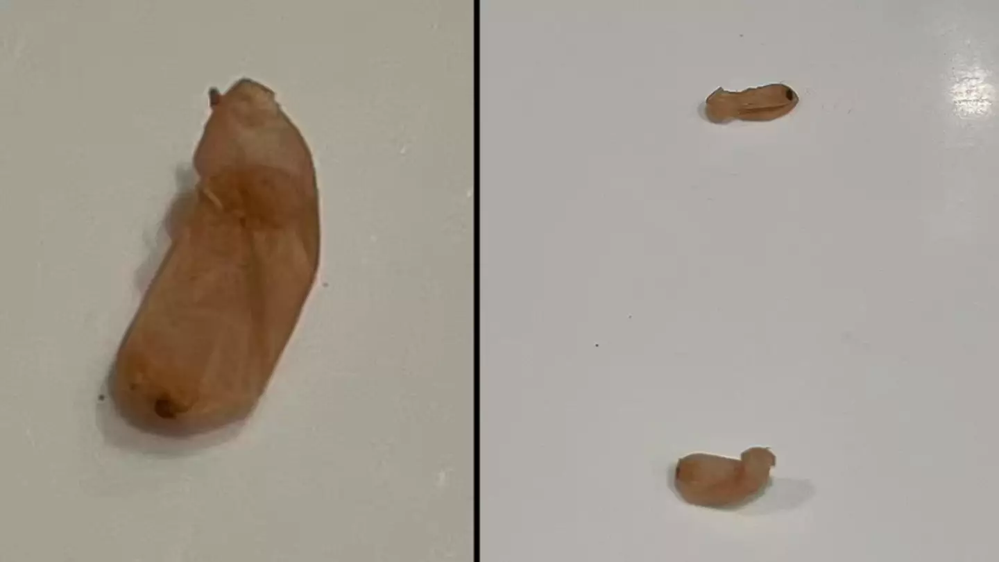 Disturbing theory after woman finds confusing ‘beans’ in bathroom