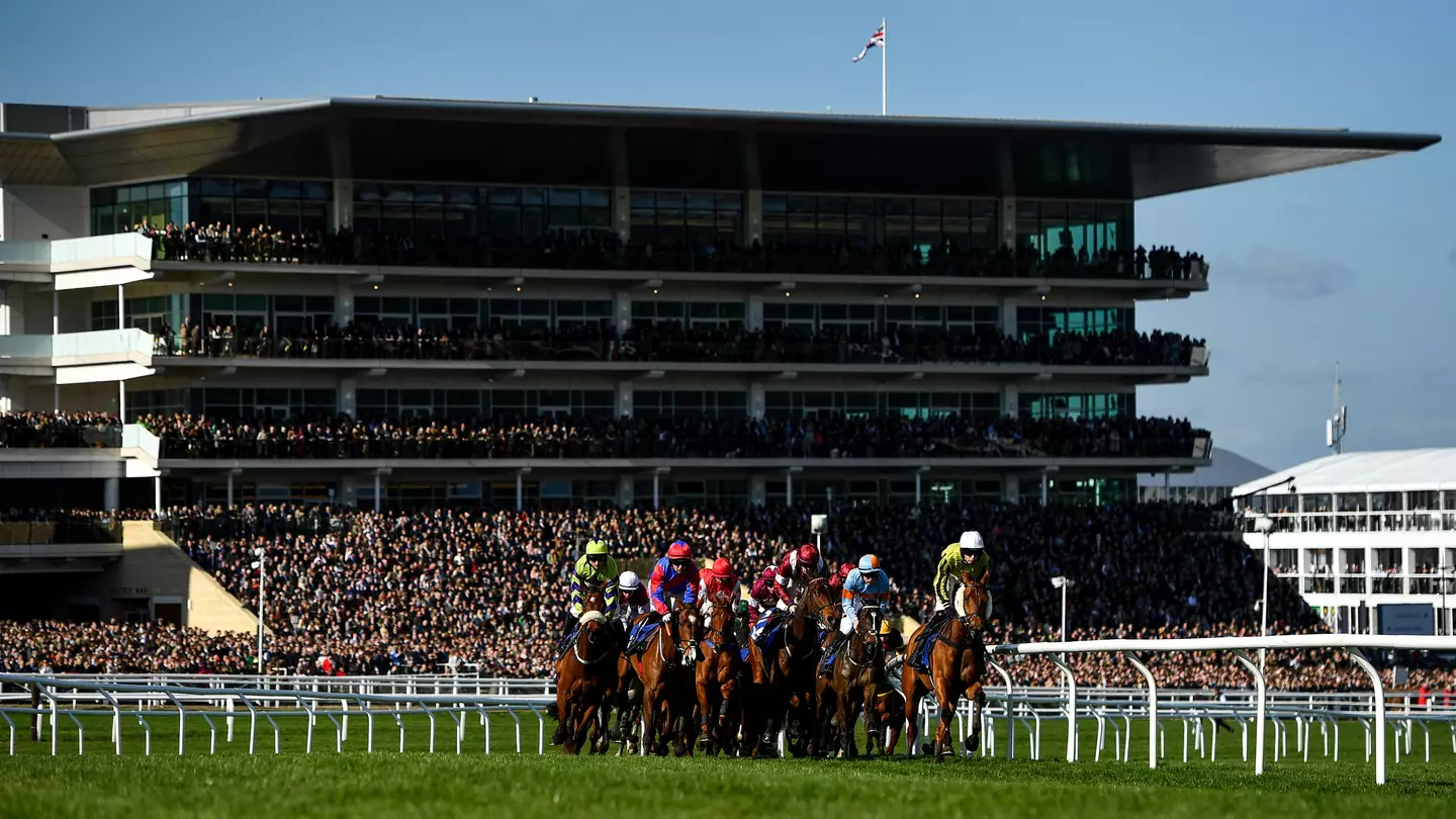 Cheltenham punters have flown to Benidorm instead of going to races due to how much cheaper it is for pints