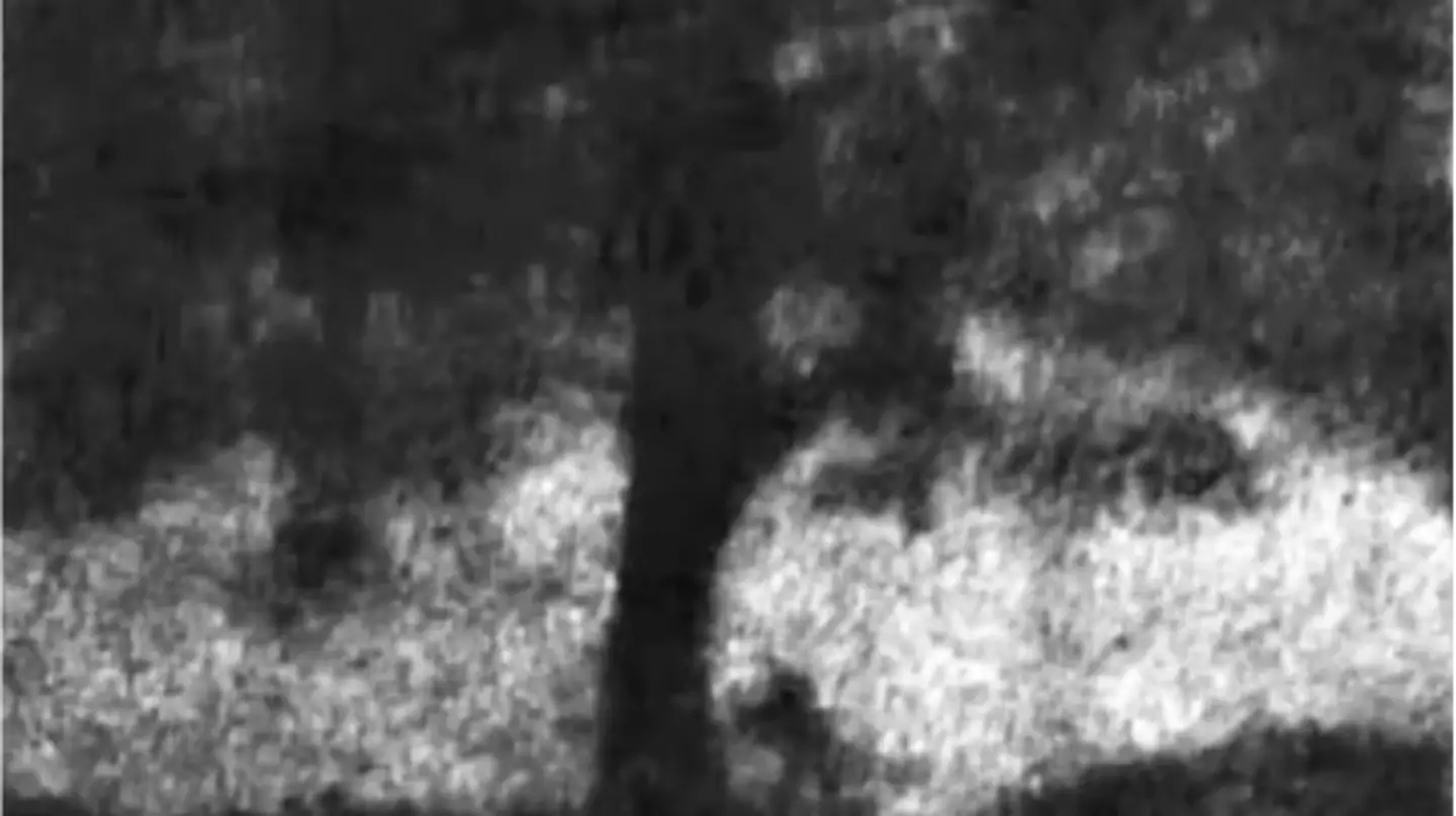 Video of two suspects allegedly felling iconic Sycamore Gap tree is shown to court as trial continues