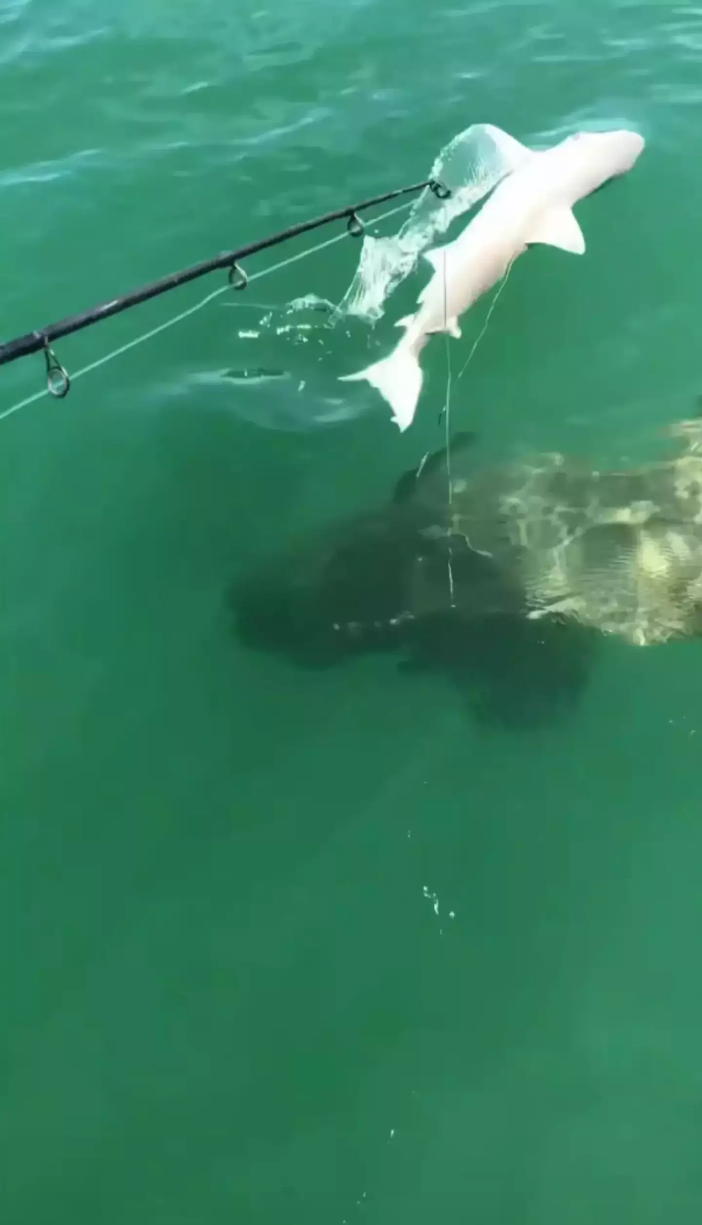 Captain John Brossard captured incredible footage of the terrifying moment (Pen News)