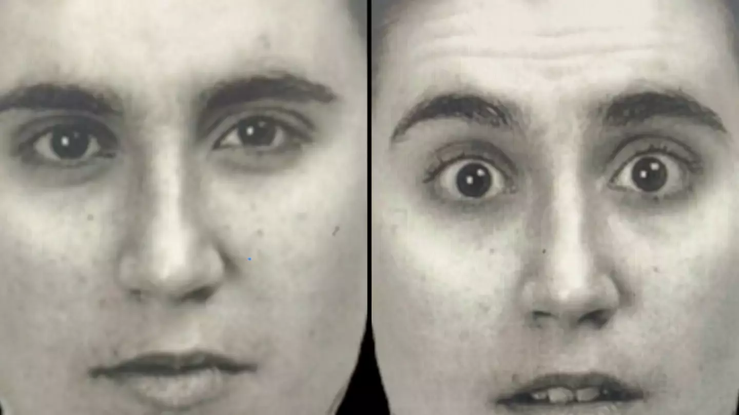 TikTok/@drgeorgesachs