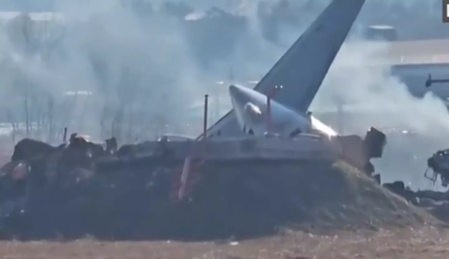 A passenger on board the plane sent a message to a family member saying a bird was 'stuck in the wing' before the crash. (BBC)