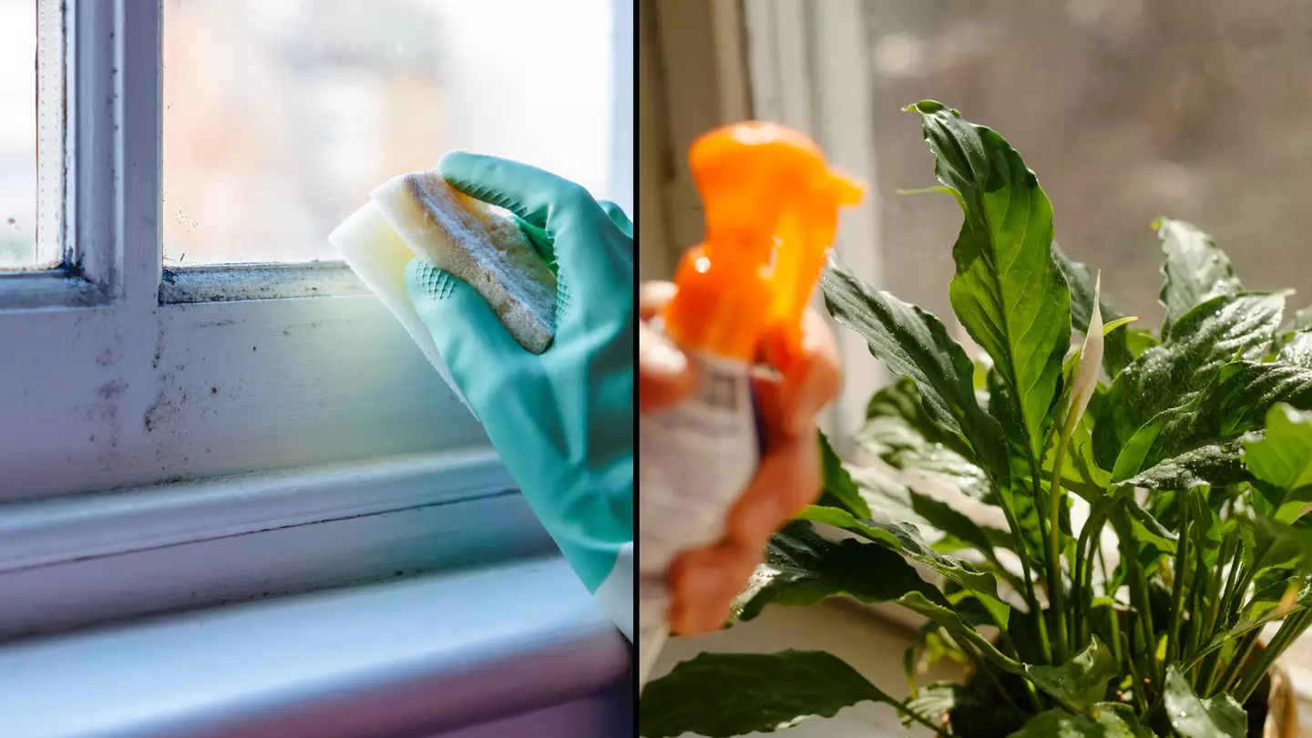 Brits urged to buy household item which will remove ‘silent killer' from UK homes
