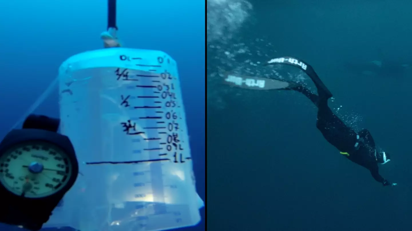 Unbelievable video shows what happens to a free-diver's lungs the deeper they go