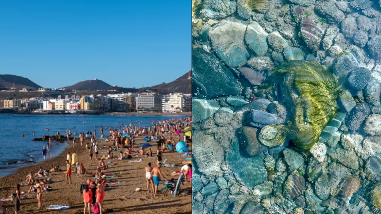 Brits holidaying in Canary Islands warned of fines over taking simple item like souvenir