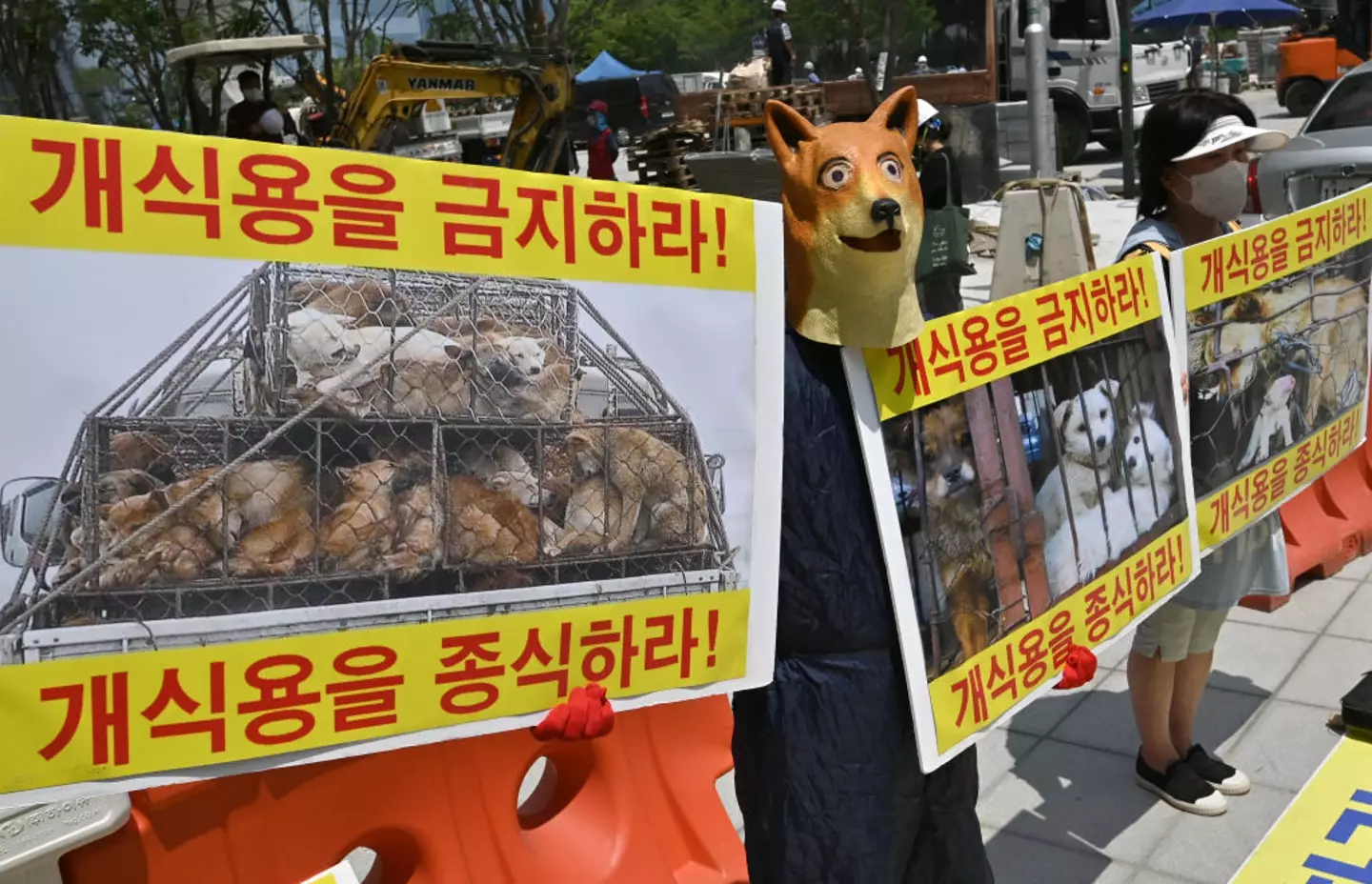 There has been growing opposition to eating dog meat in South Korea.