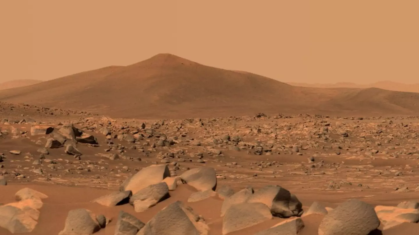 The Rover has sent back pictures from Mars.