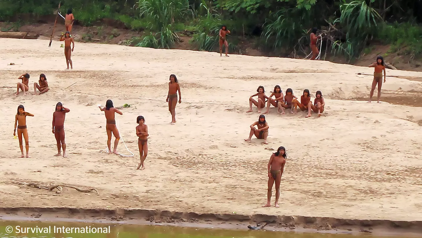 Renewed calls have been issued to protect the tribe (Survival International)
