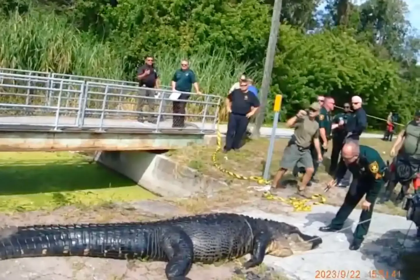 (Florida Fish and Wildlife Conservation Commission)