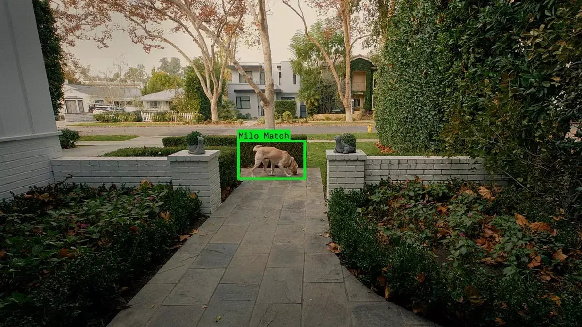 The feature uses AI to help find lost dogs (Ring)
