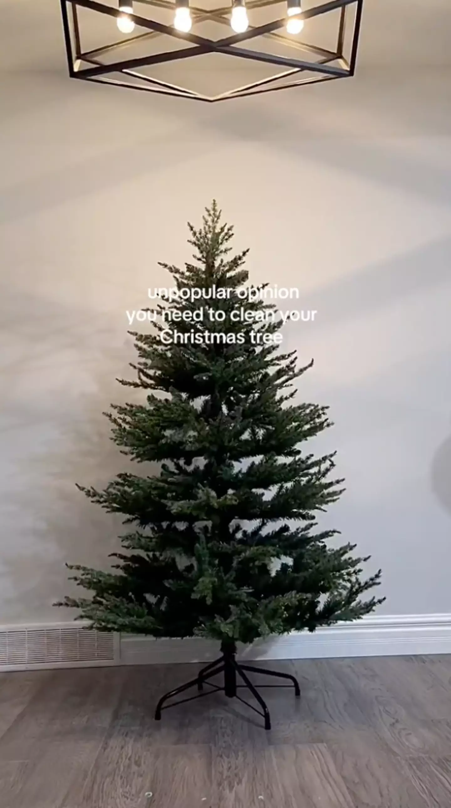 TikTok user Rhema (@rhema.br) has gone viral on the platform after sharing her latest 'unpopular opinion' video.