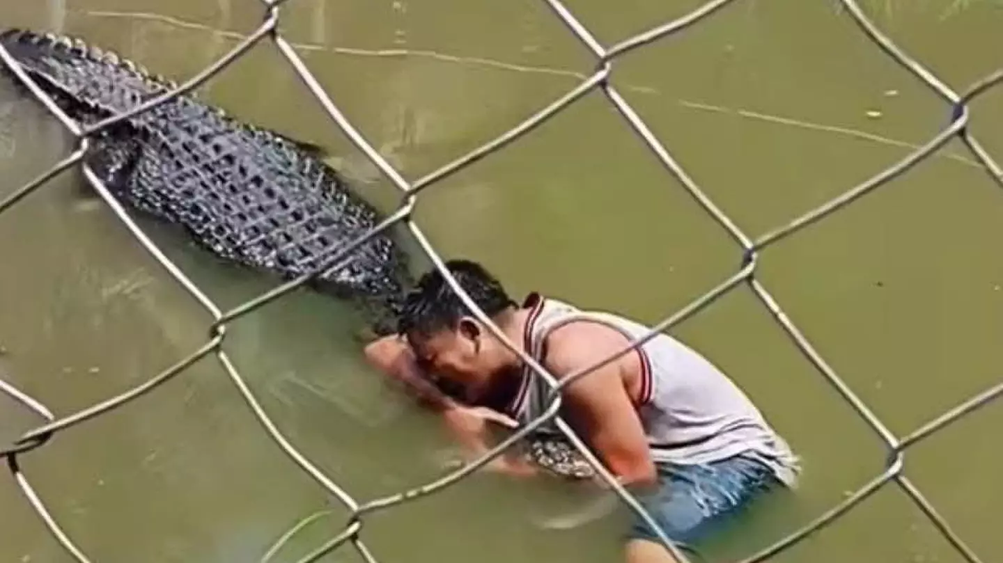 Tourist brutally attacked by crocodile after climbing into enclosure to take selfie with it