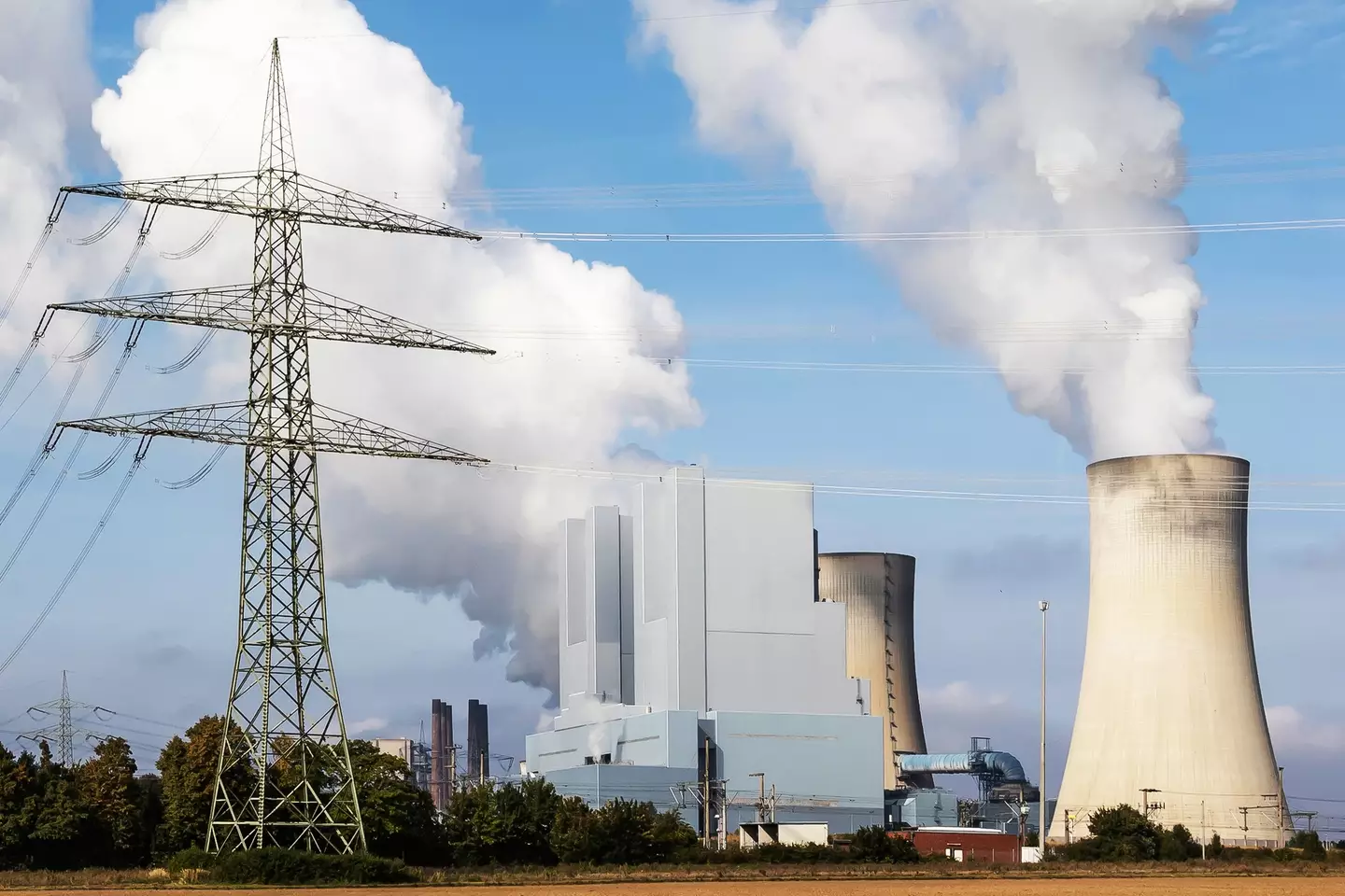 If the whole world shifted to the diet, greenhouse gas emissions would drop by more than half (Getty Stock Image)