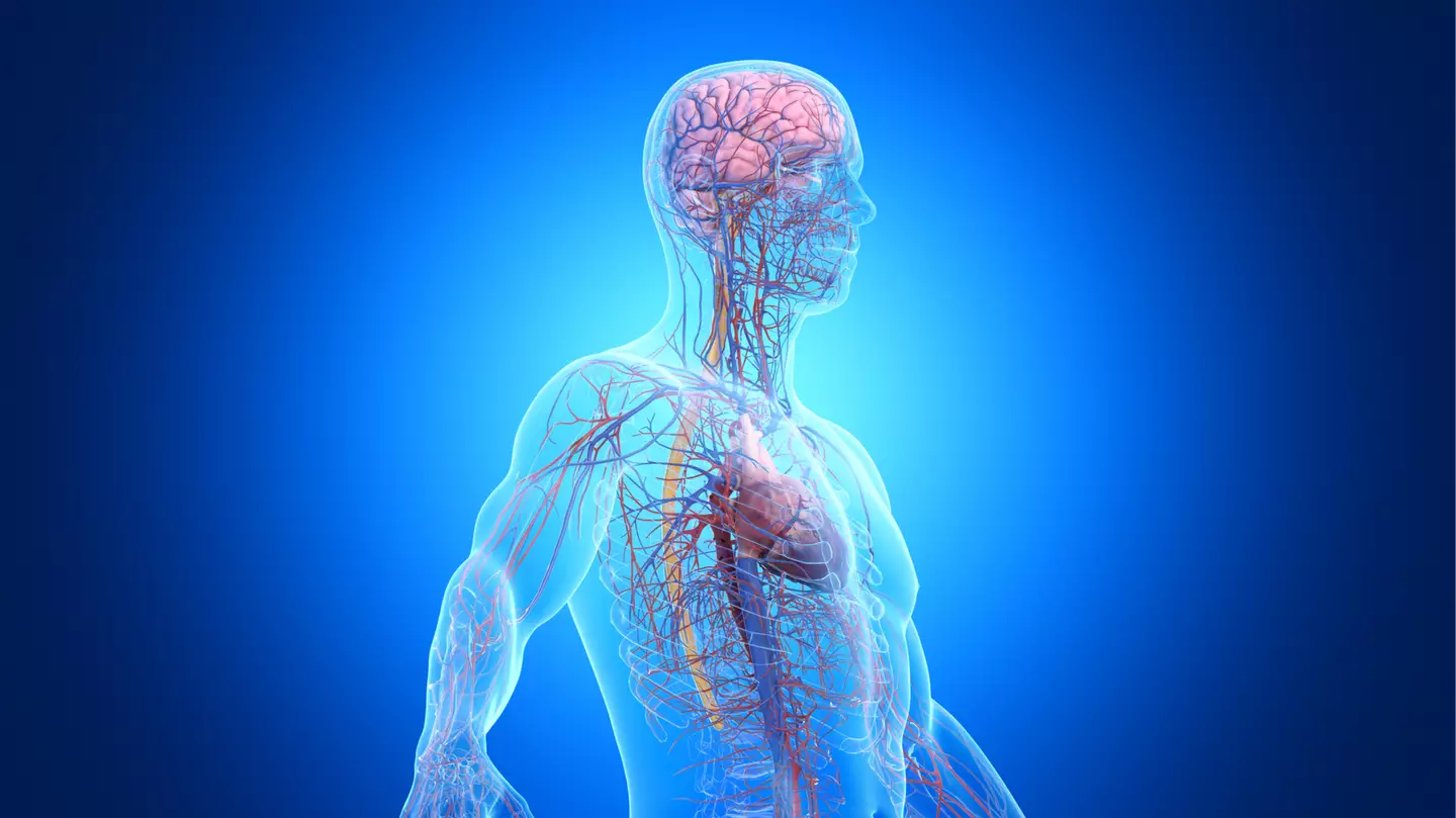 Scientists discovered maximum age an average human can likely live to