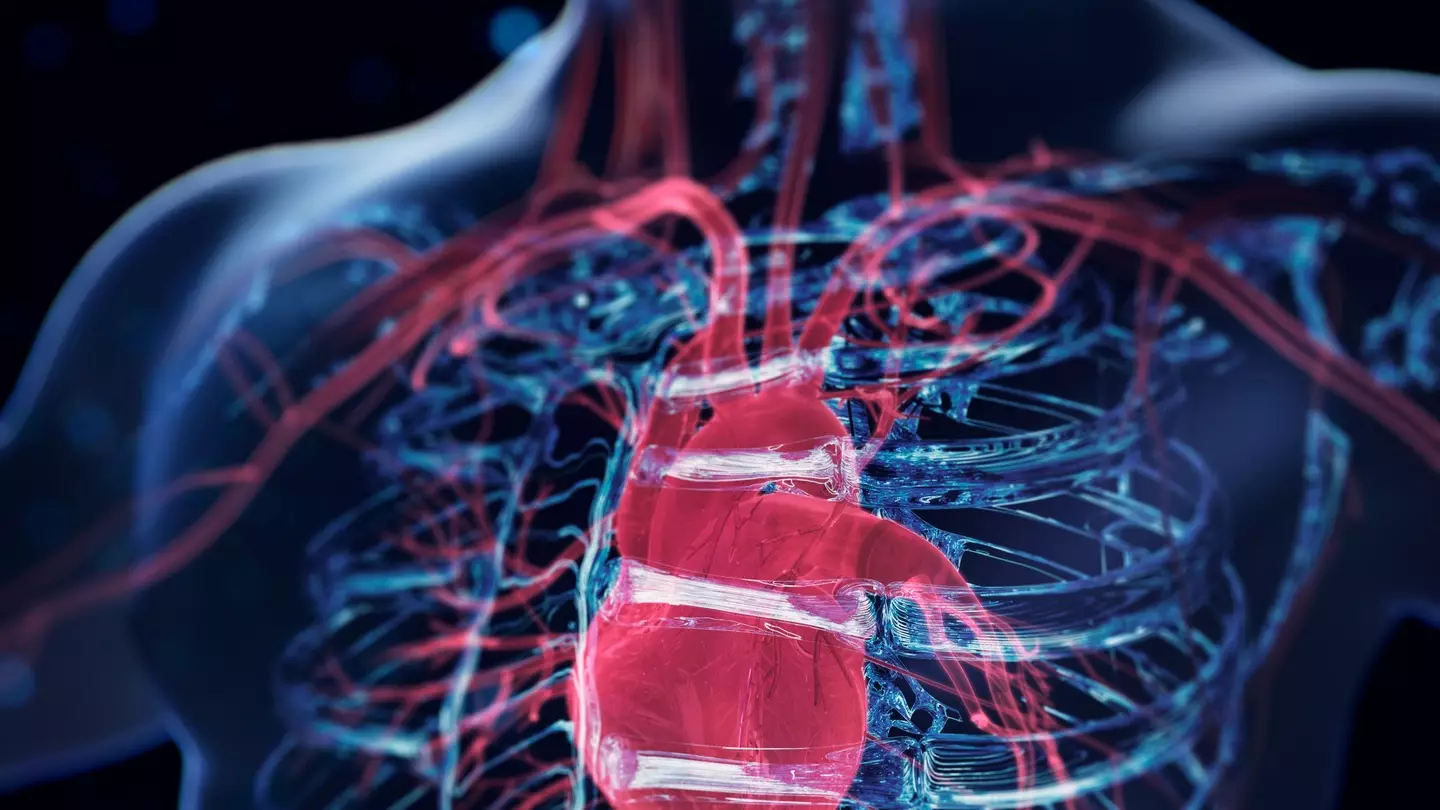 (Getty Stock Images)