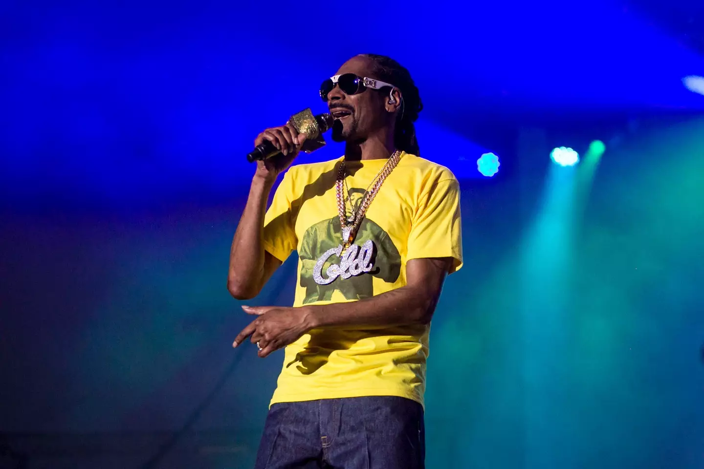 Snoop in 2017.