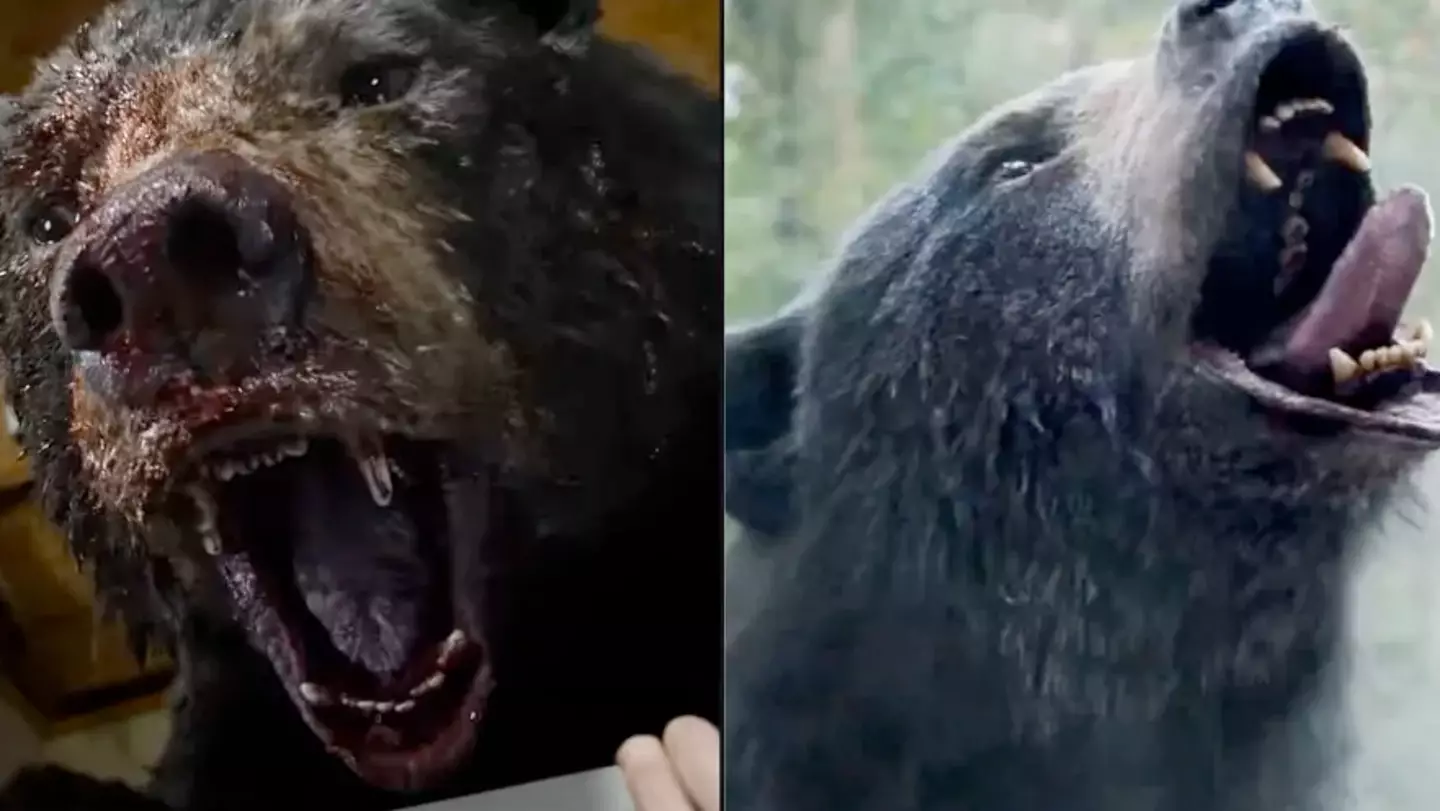 Cocaine Bear is already being called 'one of the best movies of the year'