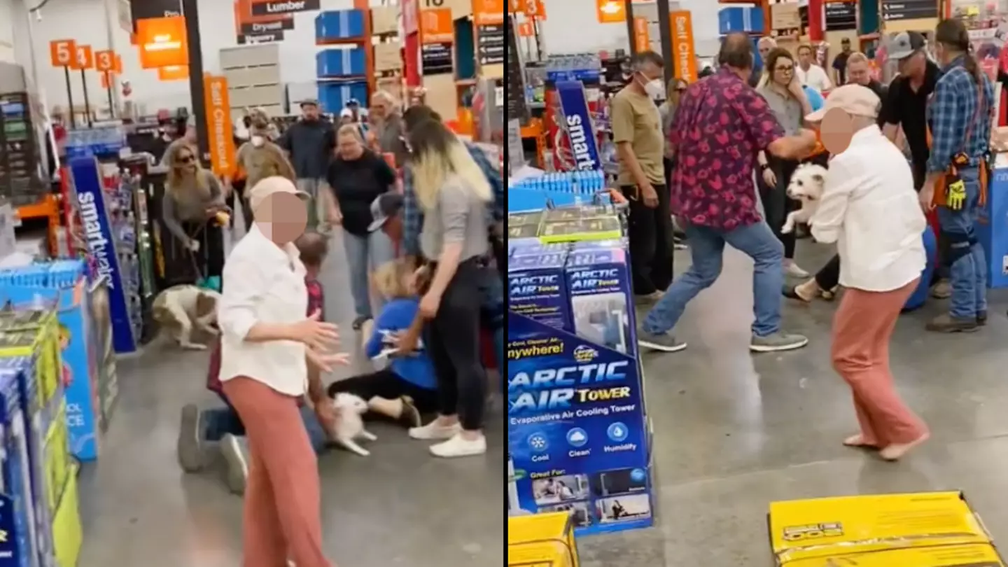 People Divided After Two Dogs Start Fighting In Supermarket