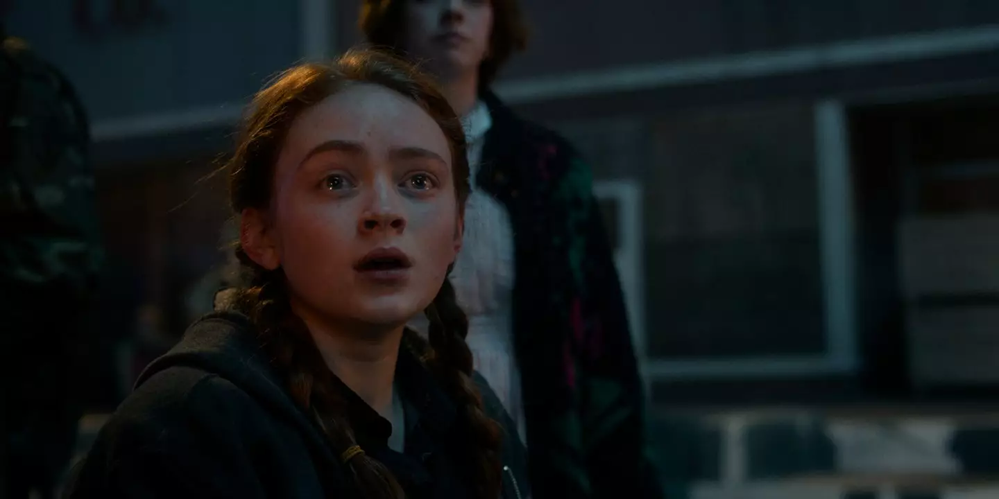 Max never actually went into the Upside Down (Netflix)