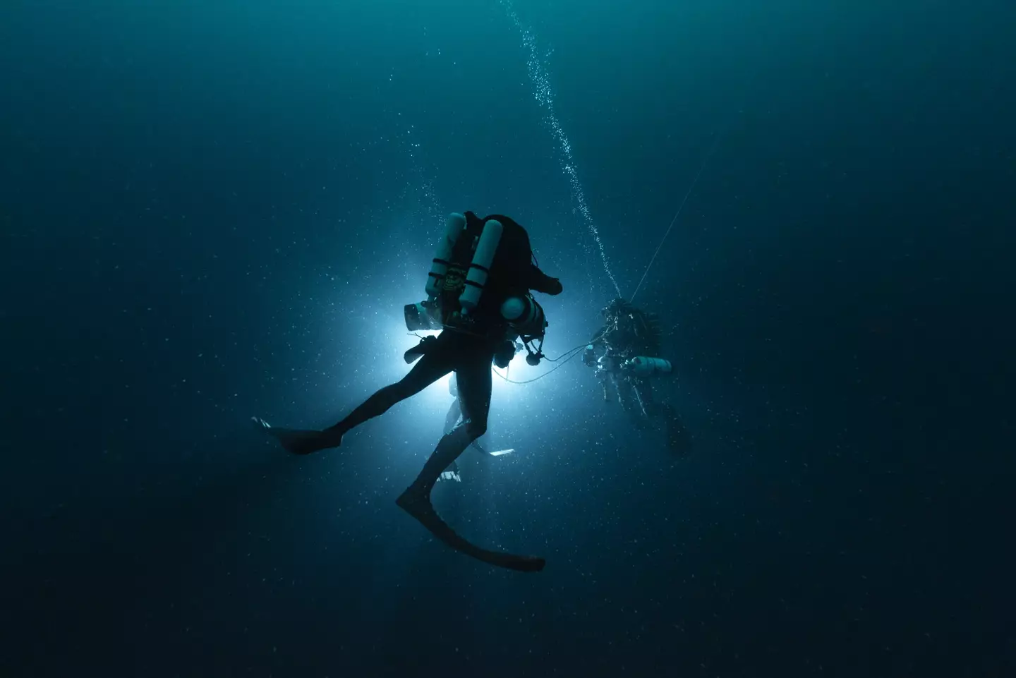 Researchers found a unique shark off the coast of Albania (Getty Stock Photo)