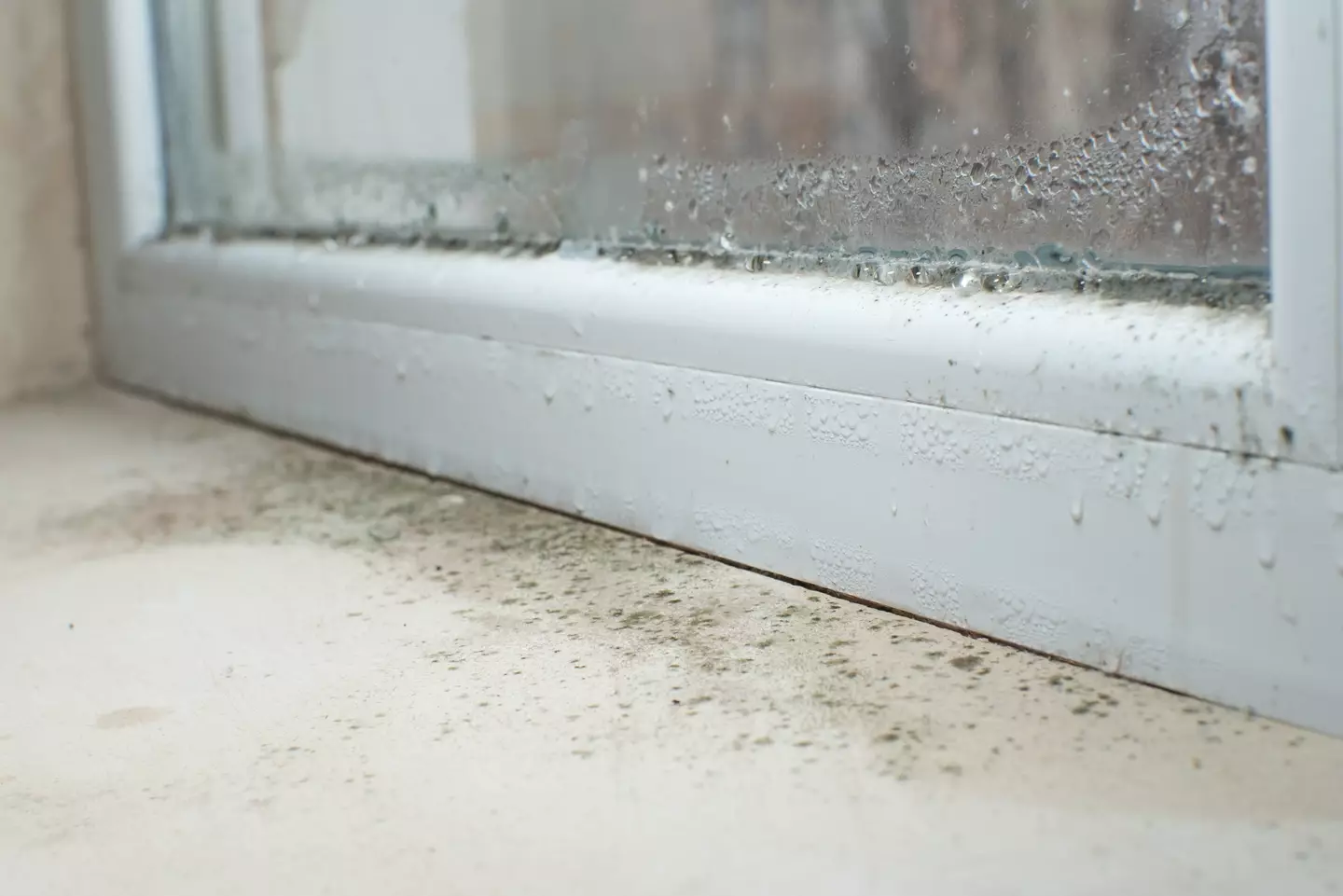 Condensation can lead to dampness and mould. (Getty Stock Photo)