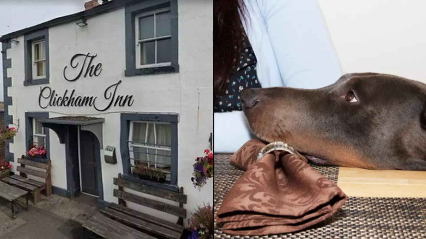 Pub hits back at brutal one-star Tripadvisor review over dog ‘begging for food' at table