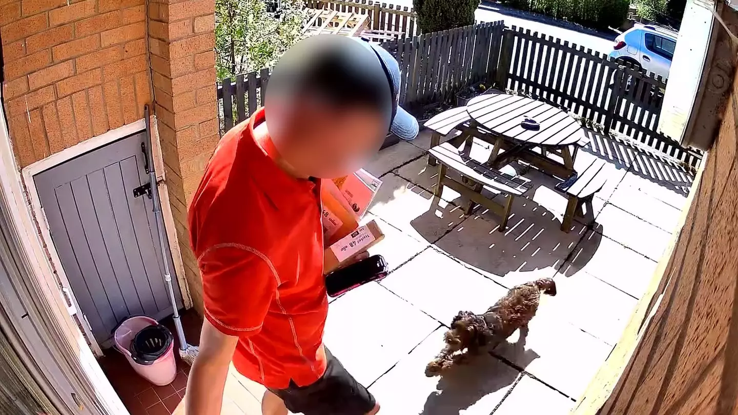 What happens if your dog attacks a postie as 'cruel' Royal Mail employee caught kicking puppy on camera