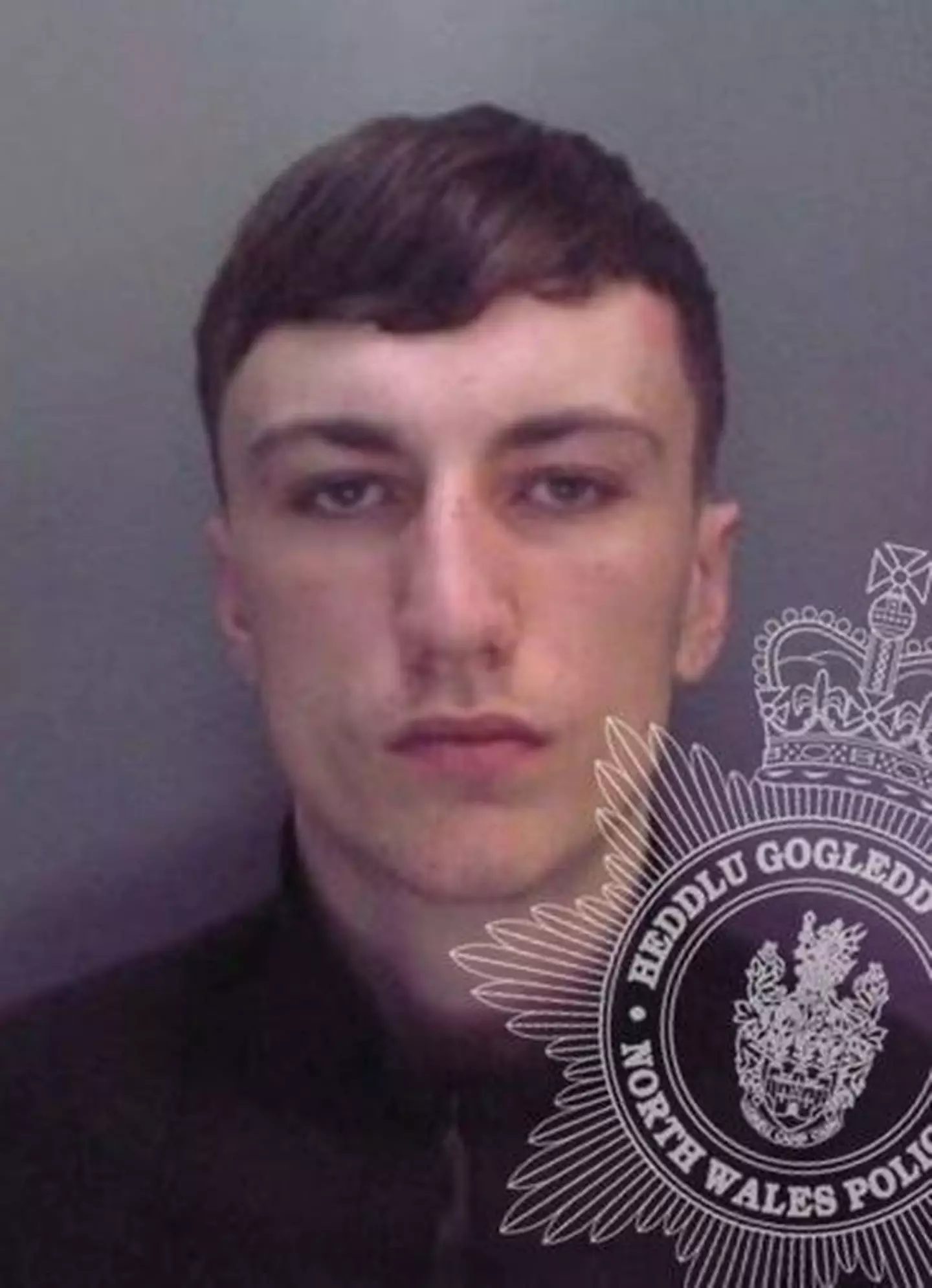 Callum Lee Davies was jailed for the attack.