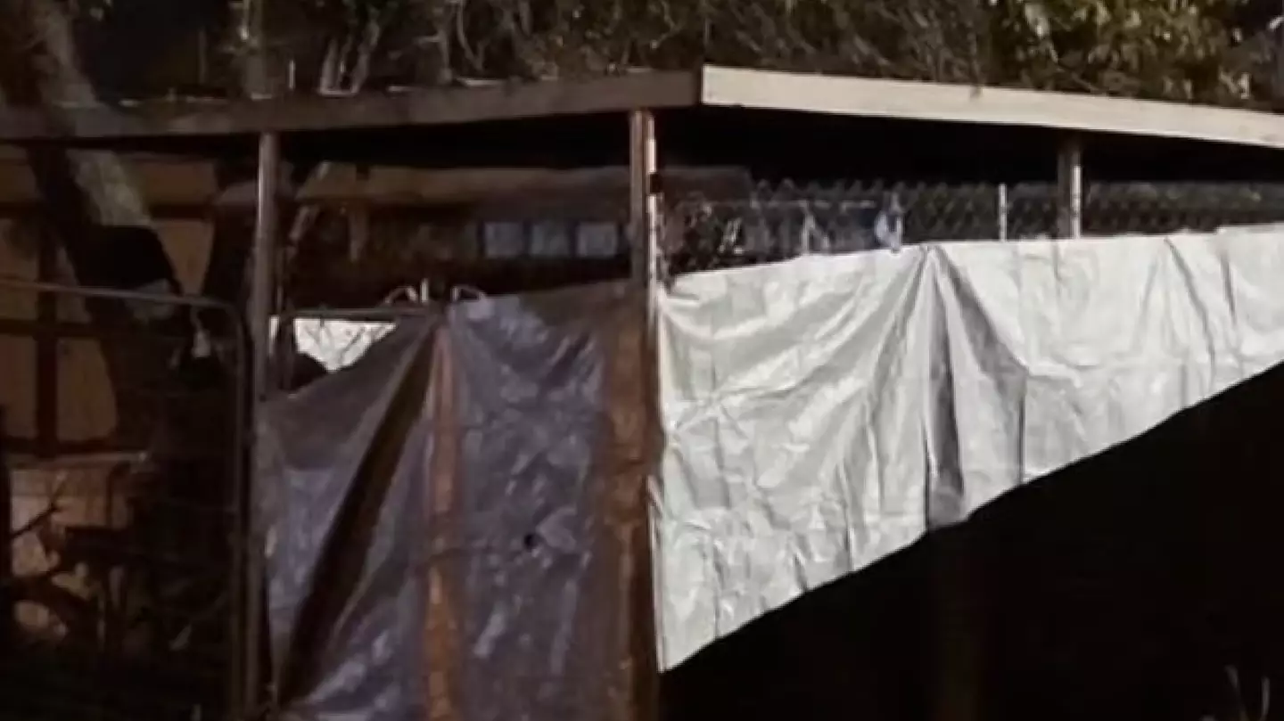 YouTube/ Criminally Obsessed