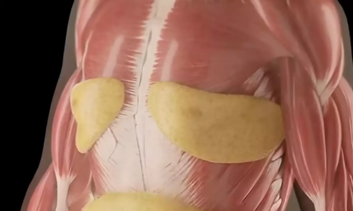 Too much junk food can increase the chances of obesity, heart disease and diabetes (YouTube/GrowFit Health)