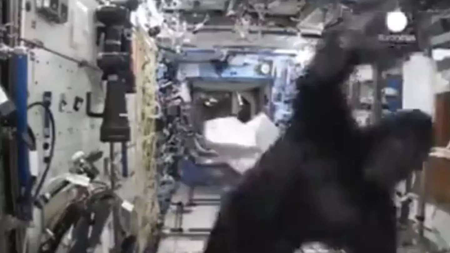 Astronaut explained why he wore gorilla suit on ISS as hilarious footage of prank resurfaces
