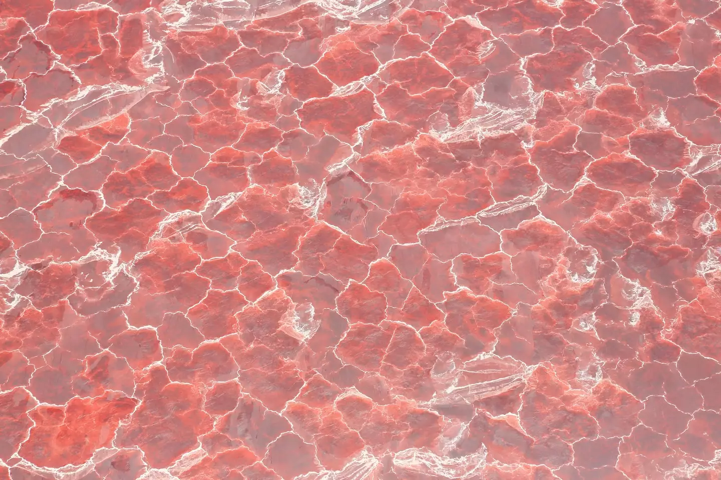 The lake is pink (Getty Stock Image)
