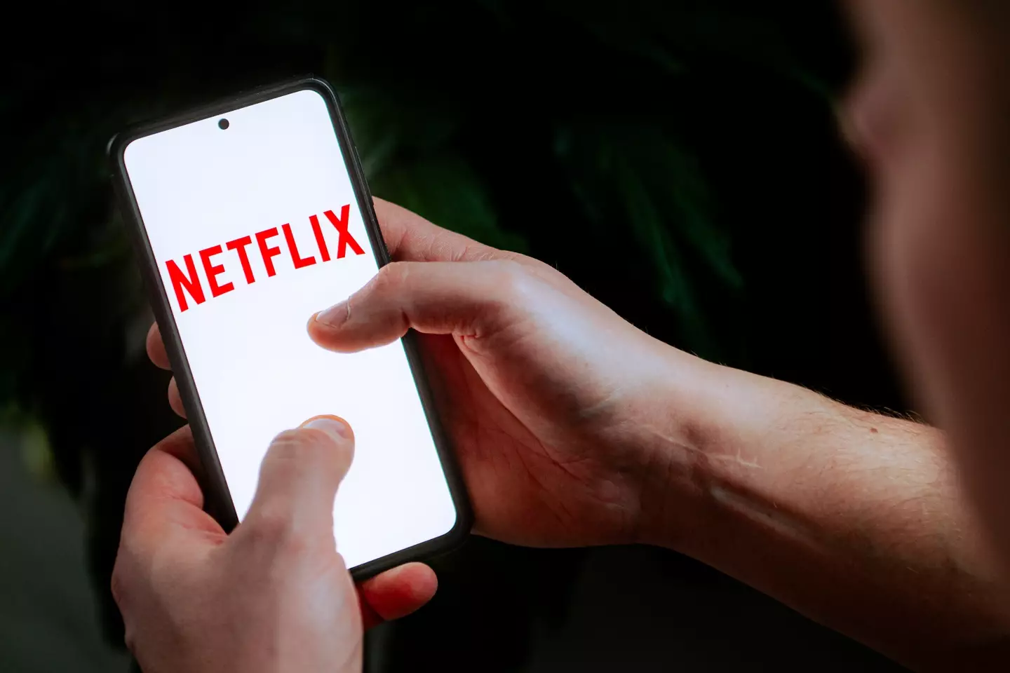 Netflix has the most expensive premium subscription.