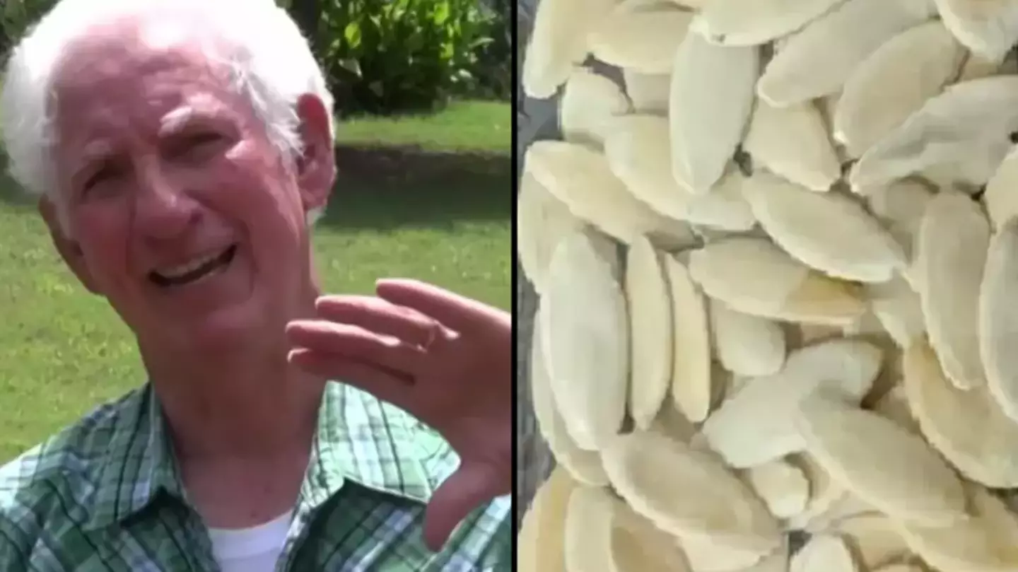 Man receives mystery seeds in post from China and decides to plant them
