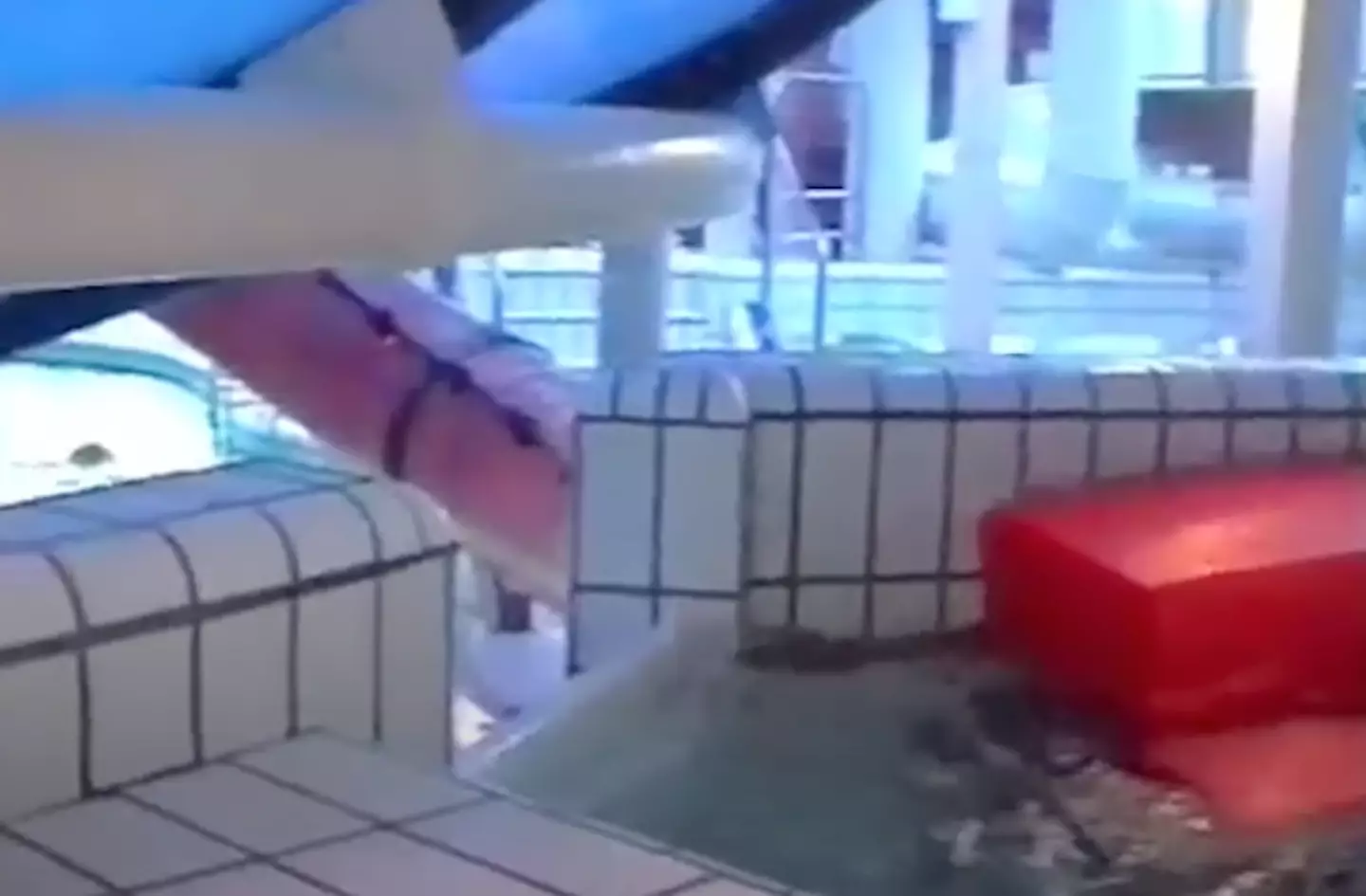 The ride was eventually discontinued. (Tobias Schefe)