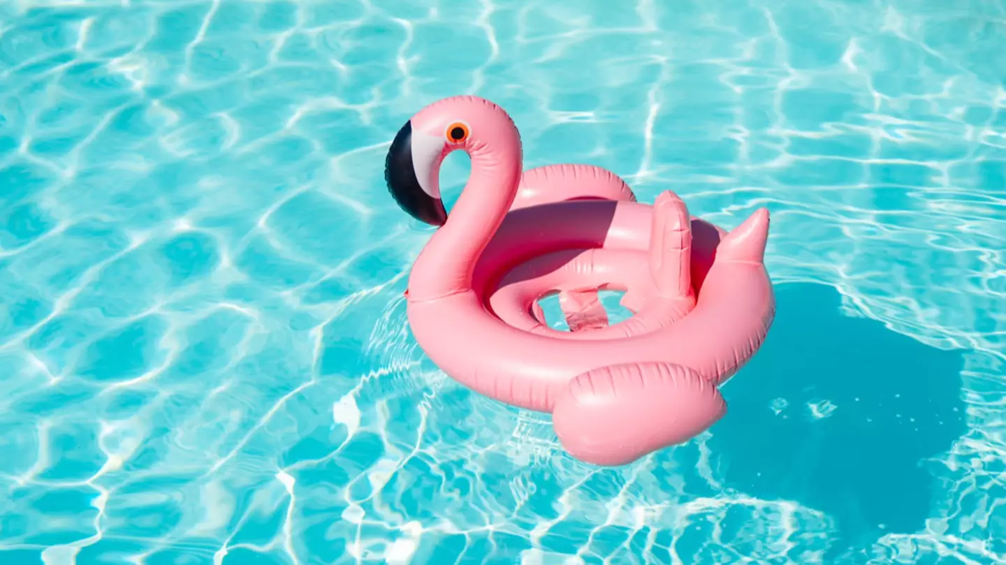 X-rated meaning behind clothing designs you might see on spicy cruises as 'rules explained'