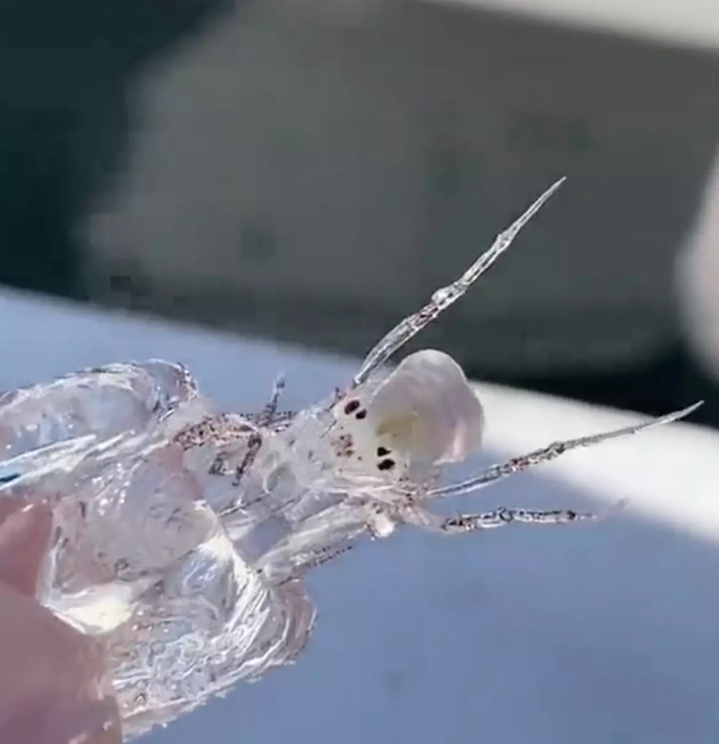 Probably just put it back.