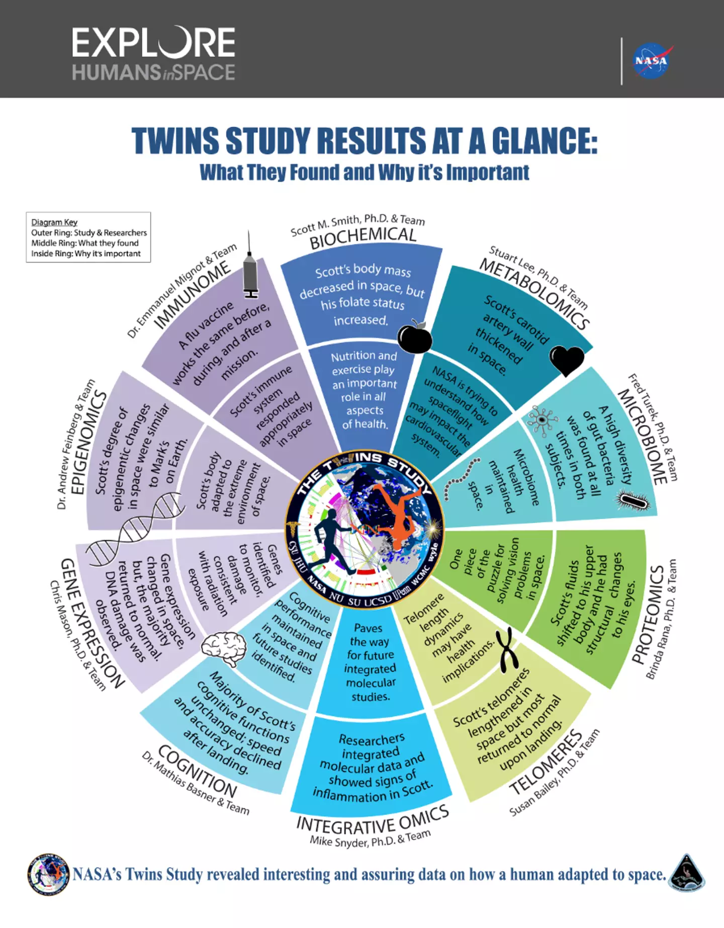NASA made a handy graphic showing the changes between the twins.