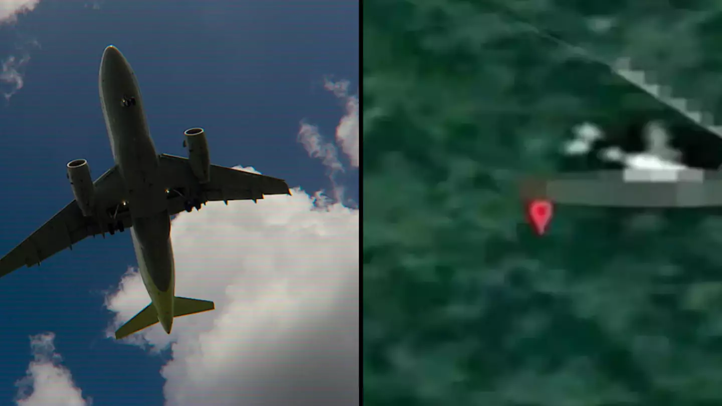 Expert claimed to have 'found' missing MH370 aircraft after Google Maps search