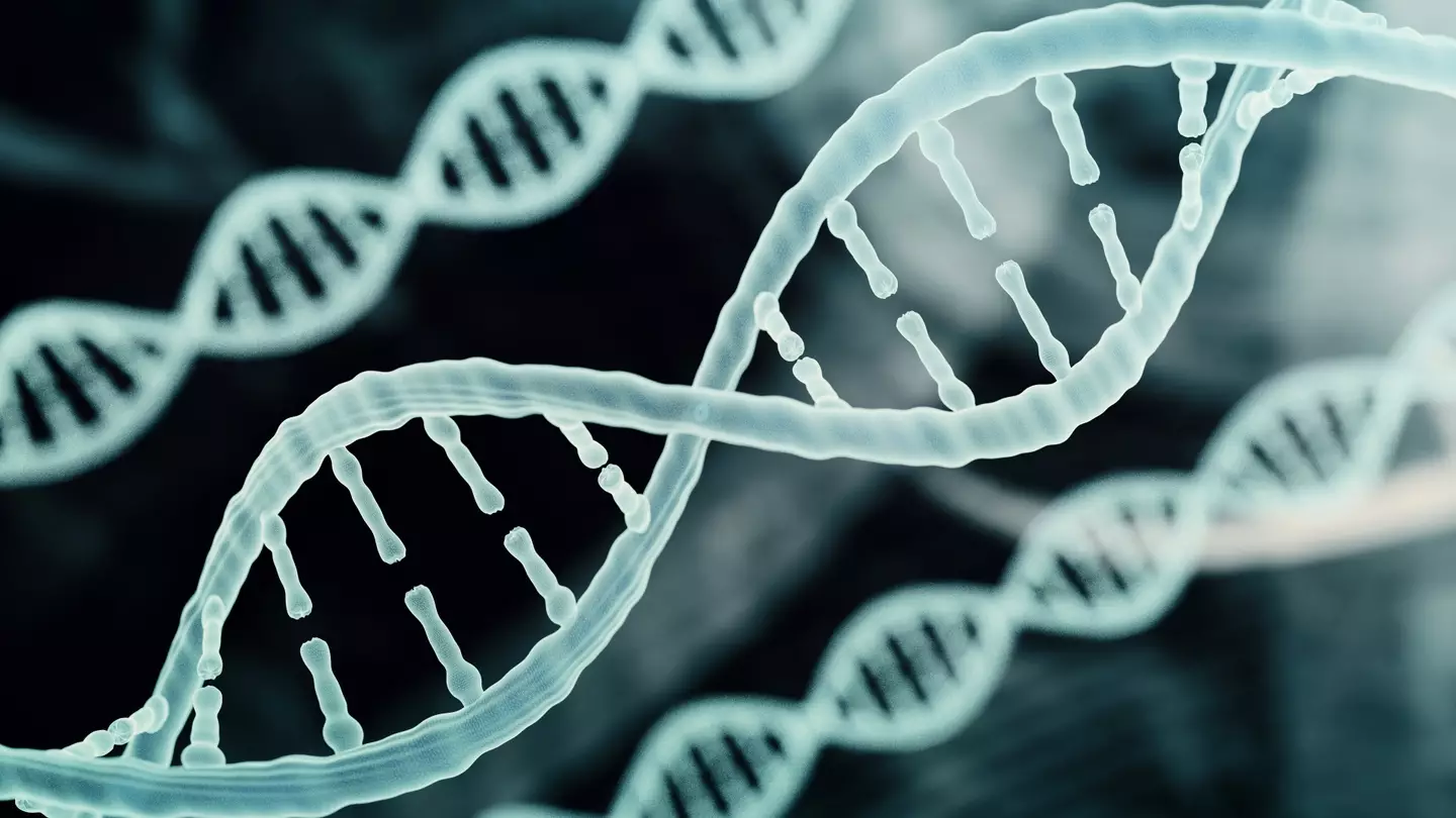 A new breakthrough, in which DNA can be used to kill cancer cells, has been created by researchers.