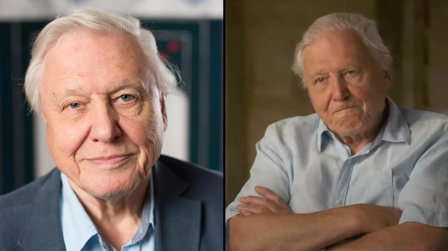 PA Images / Alamy Stock Photo / YouTube / 60 Minutes