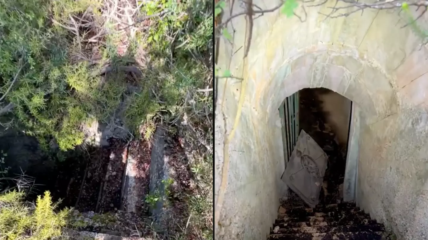 Man makes chilling discovery after following creepy overgrown staircase in the middle of forest