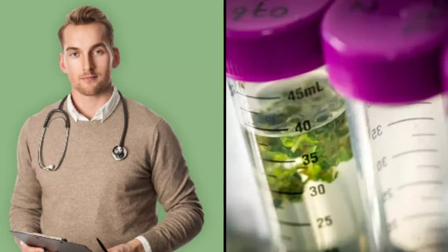 Balnce Is Helping Aussies Access Relief For Chronic Conditions Using Plant-Powered Medicine