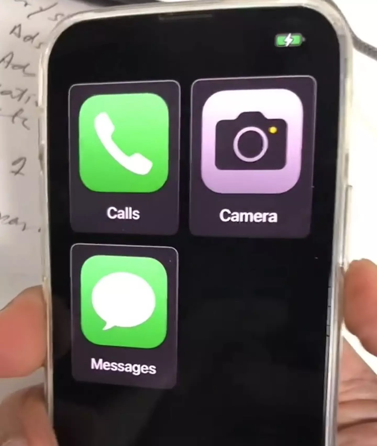 Switching on the setting makes the apps on your iPhone screen this big.