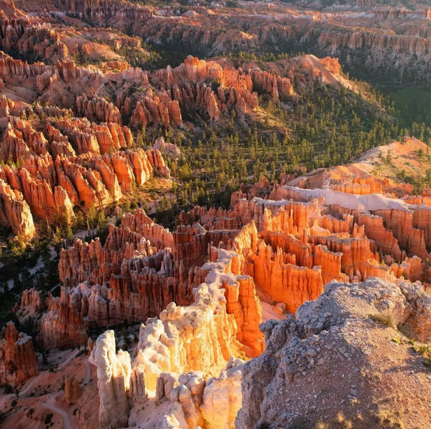 Bryce Canyon is located in Utah.
