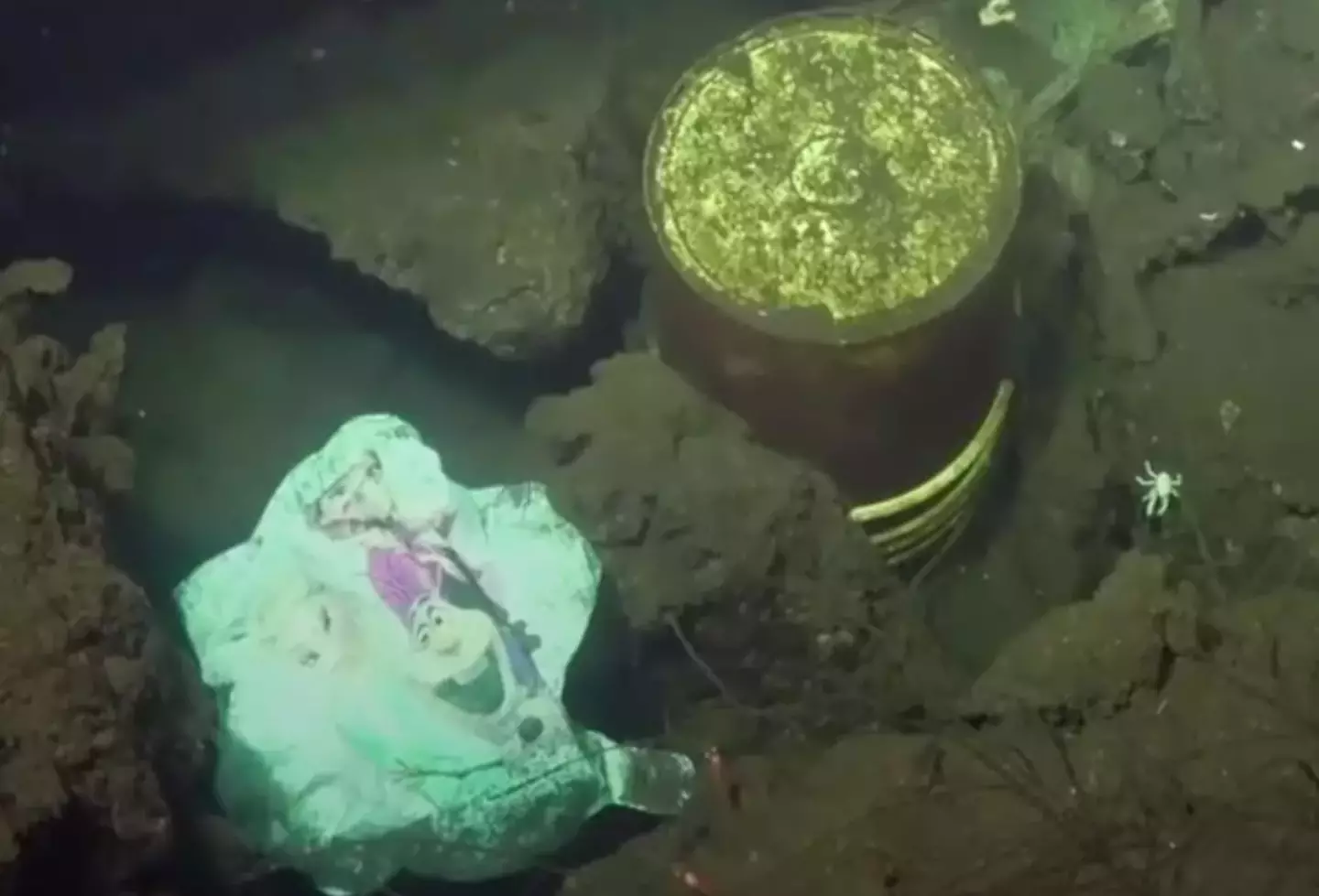 The plastic shopping bag was found at the sea bed.