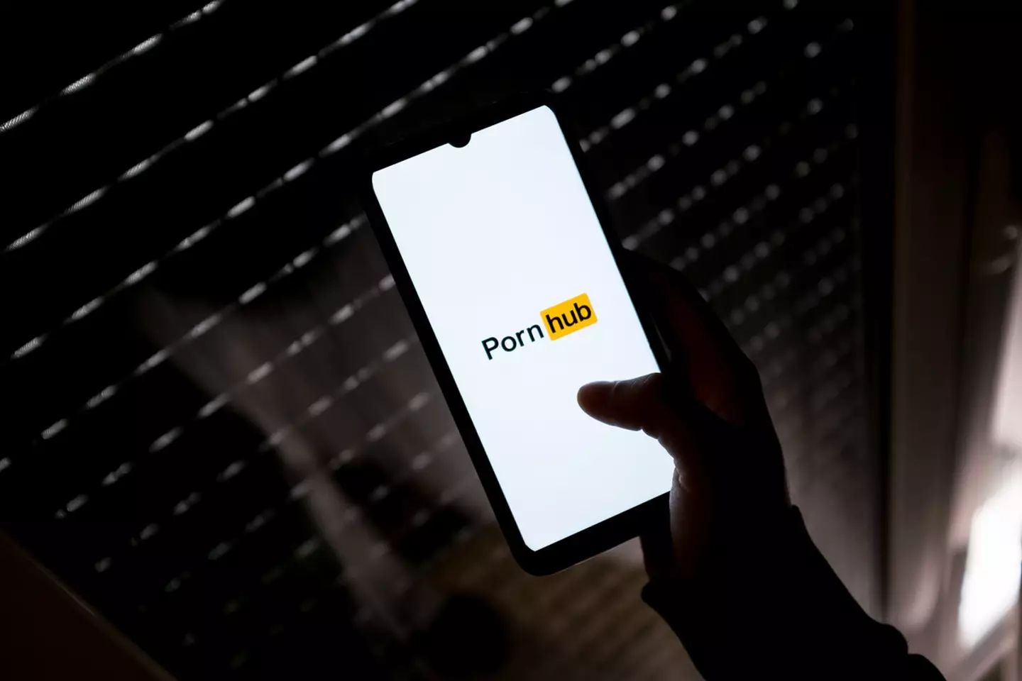 Pornhub was the most popular site with Brits.