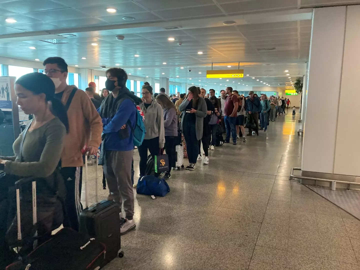 Airlines reportedly laid of 60,000 staff members amid the coronavirus pandemic.