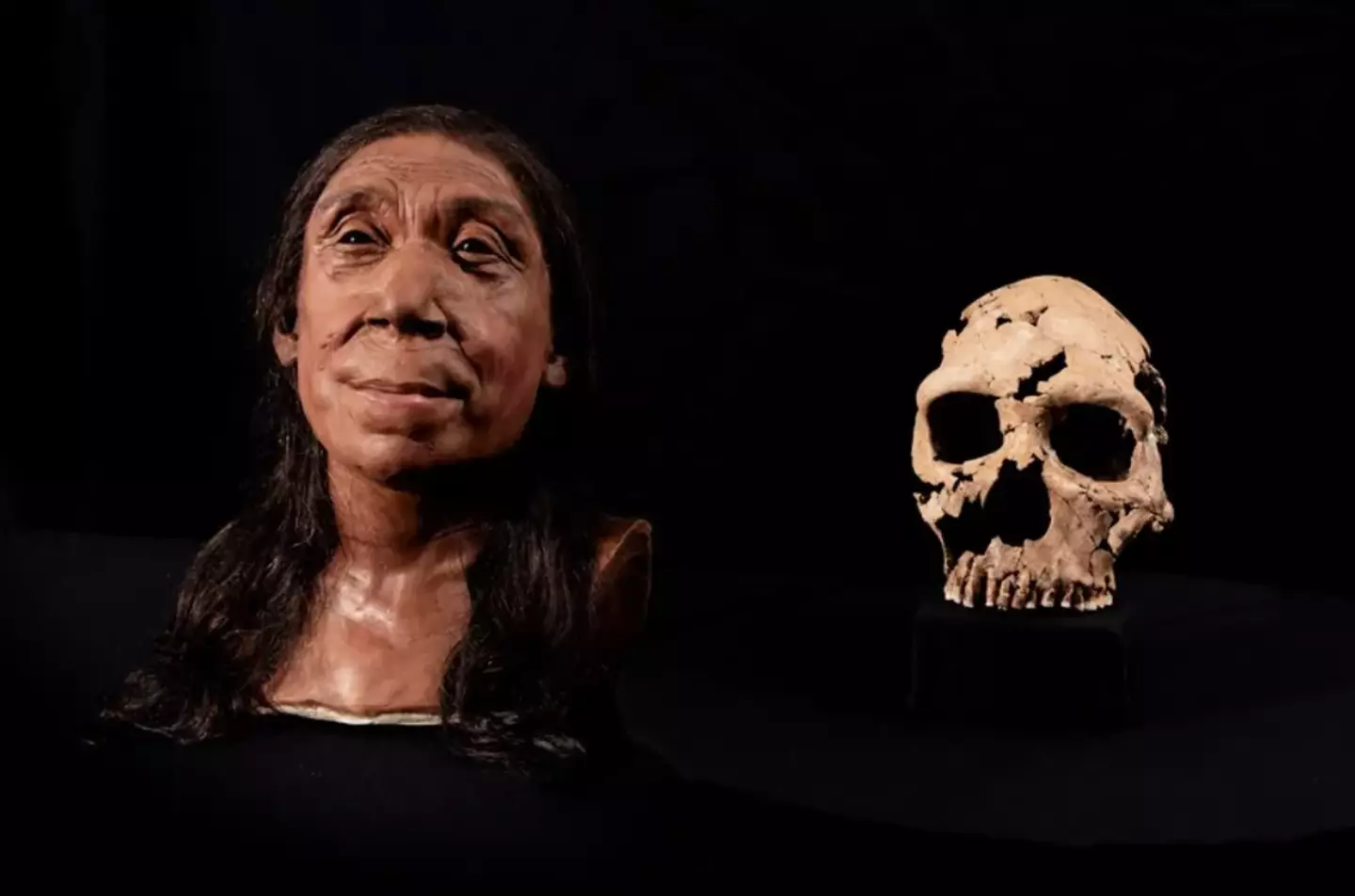 You can see it in a new Netflix documentary. (PA/BBC Studios/Jamie Simonds)