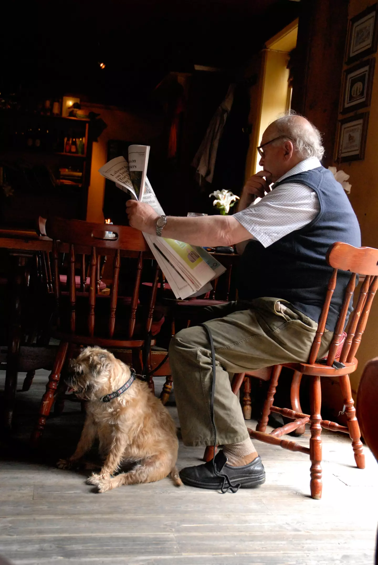 Not everyone is a big fan of dogs in pubs.